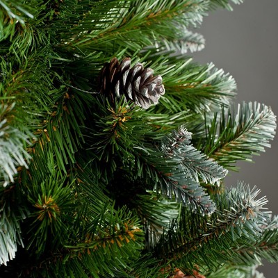 Новогодние ели и сосны